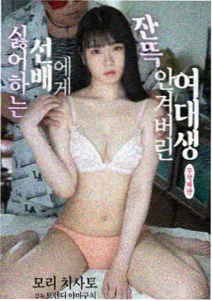 风味人间 电视剧免费播放在线
